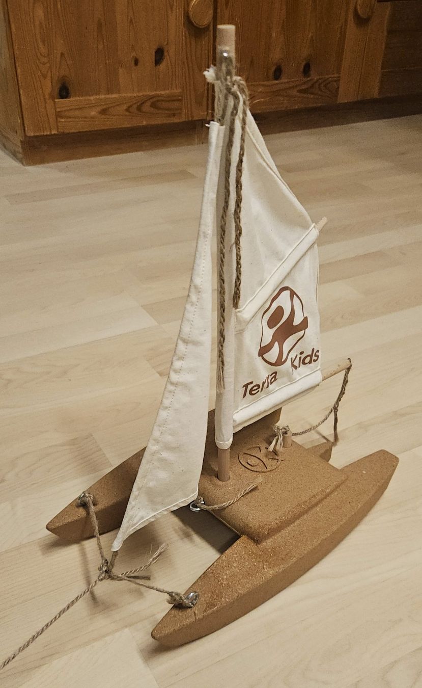 Giocattoli: Terra Kids Katamaran-Bausatz – Usato da Zwillikon venduto da Funfun 3