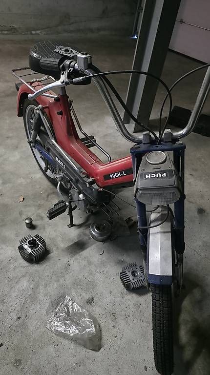 Puch Ciclomotori: Puch Maxi L – Usato da Finsterhennen venduto da Miproper 1