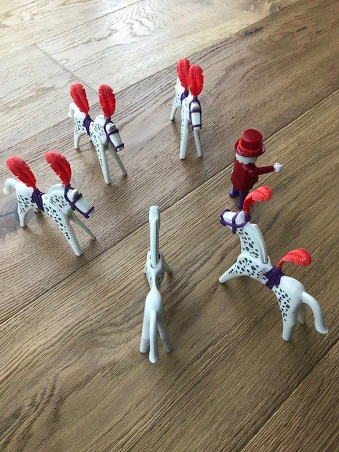 Playmobil Spielzeuge: Playmobil (Pferdedressur) – Gebraucht aus Herisau von ErWi9100 4