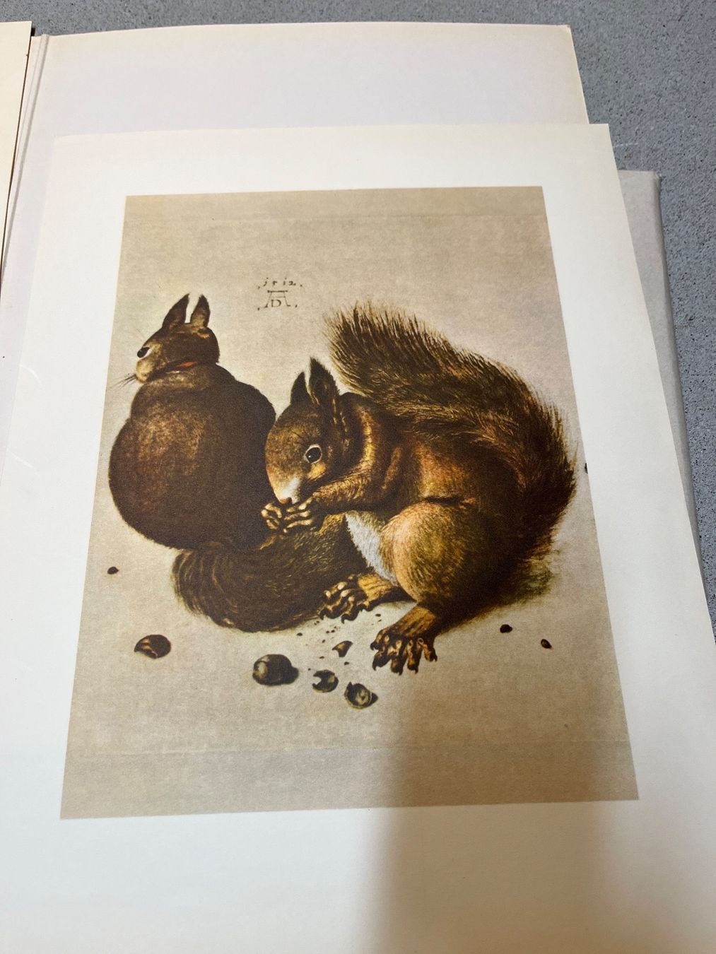 Libri: Kunstmappe des schweizerischen Beobachters – Usato da St. Peterzell venduto da andrea2012