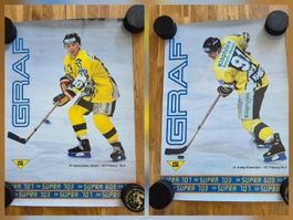 2 Poster Bykow/Chomutow,  HC Fribourg-Gottéron