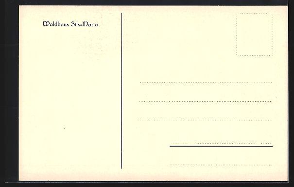 Cartoline postali: AK Sils-Maria, Hotel Waldhaus – Usato da Berlin venduto da bartko-reher 1