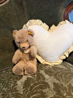 Herziger Steiff Teddybär 🧸