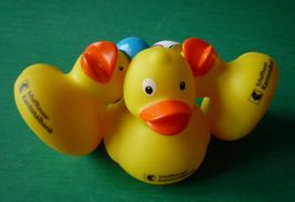 3 kleine Enten