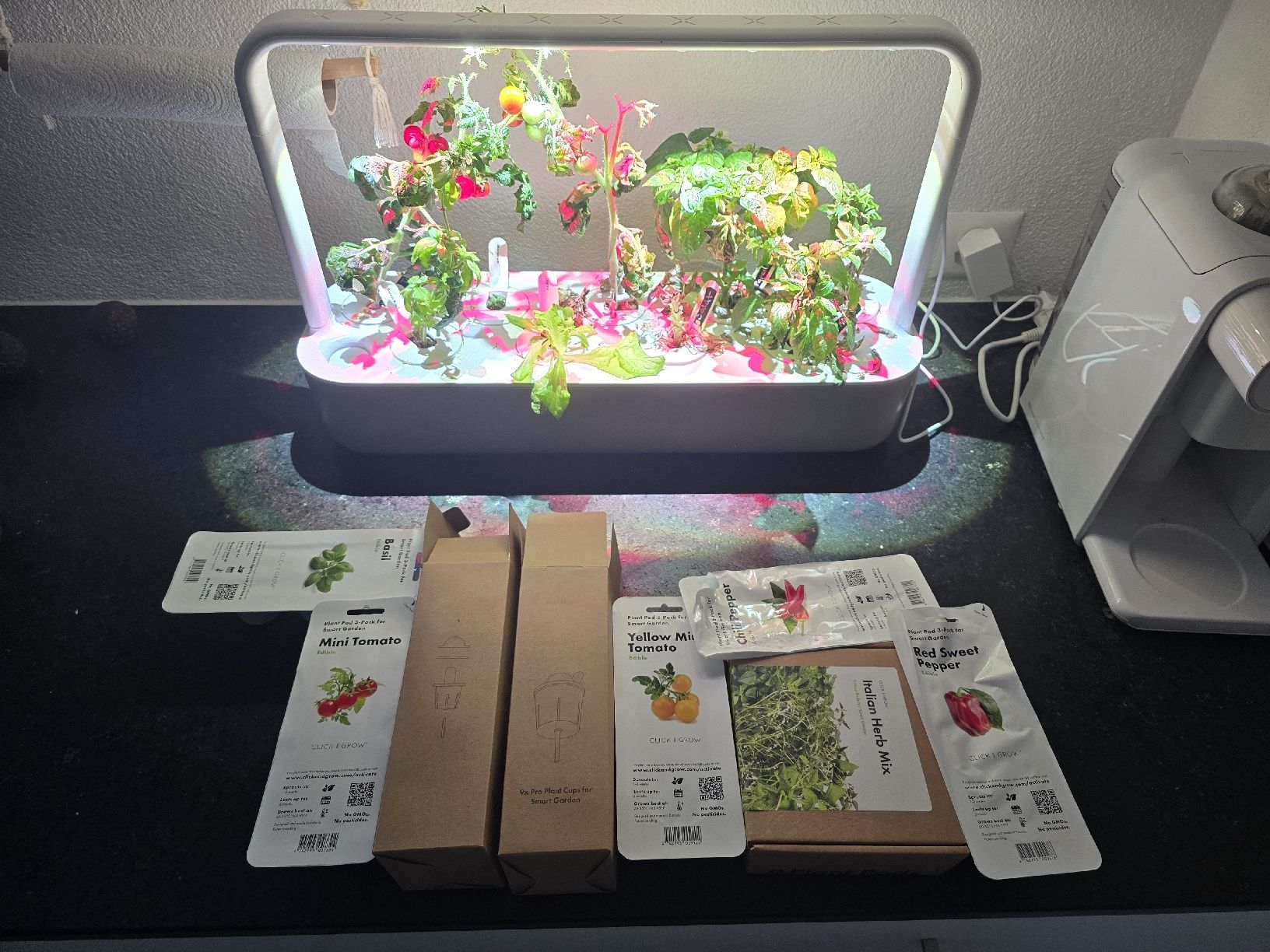 Box contenitori: Click & Grow Smart Garden Grau inkl. Setzlinge – Usato da Hochdorf venduto da mschwarb