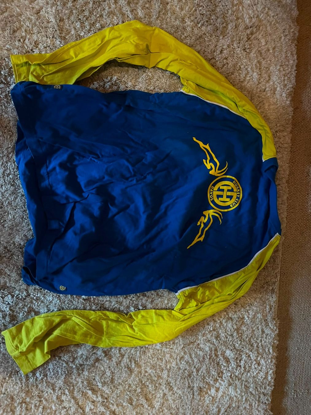 Pulls & Sweat-shirts: HC Davos Pullover (Gr. L) – D'occasion à Büttikon AG par ala_gw7p