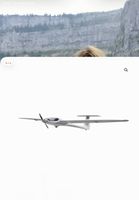 Segelflugzeug