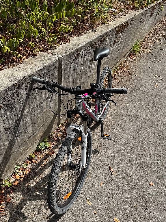 Stoke Velos: Stoke MTB – Gebraucht aus Bern von sad_mj9k 1