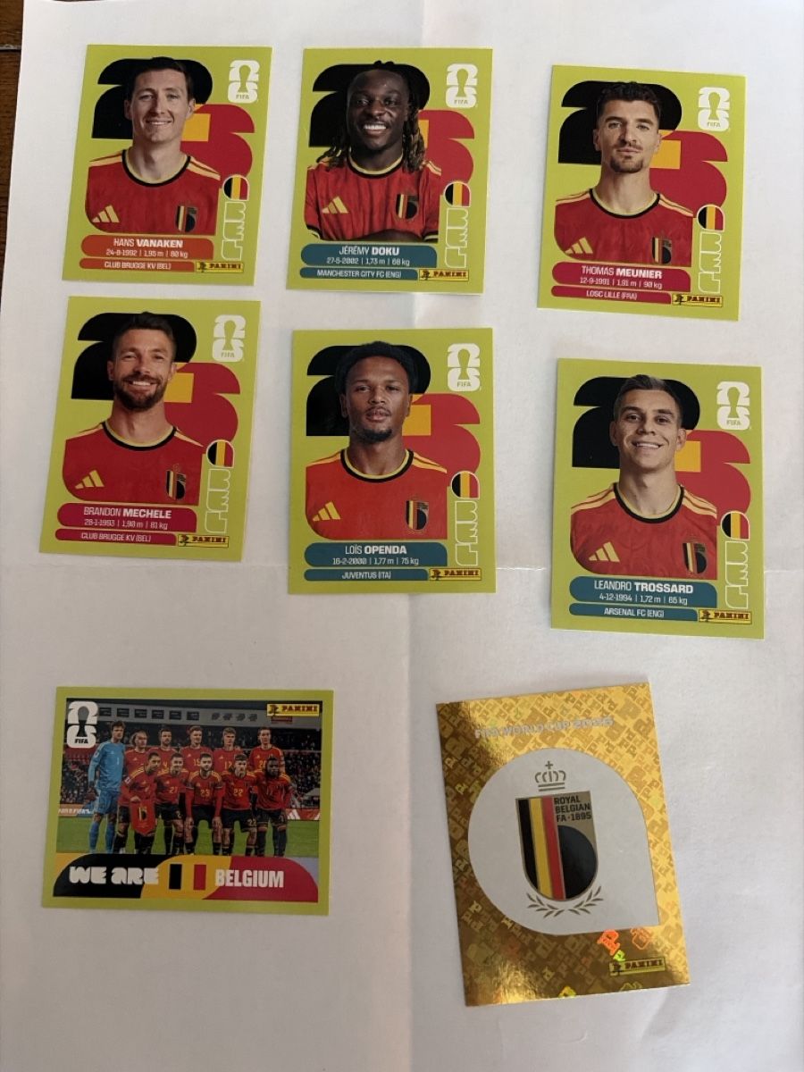 Panini Carte collezionabili: Panini 2026 lot de carte BEL – Nuovo (secondo la descrizione) da Pensier venduto da swerrmich