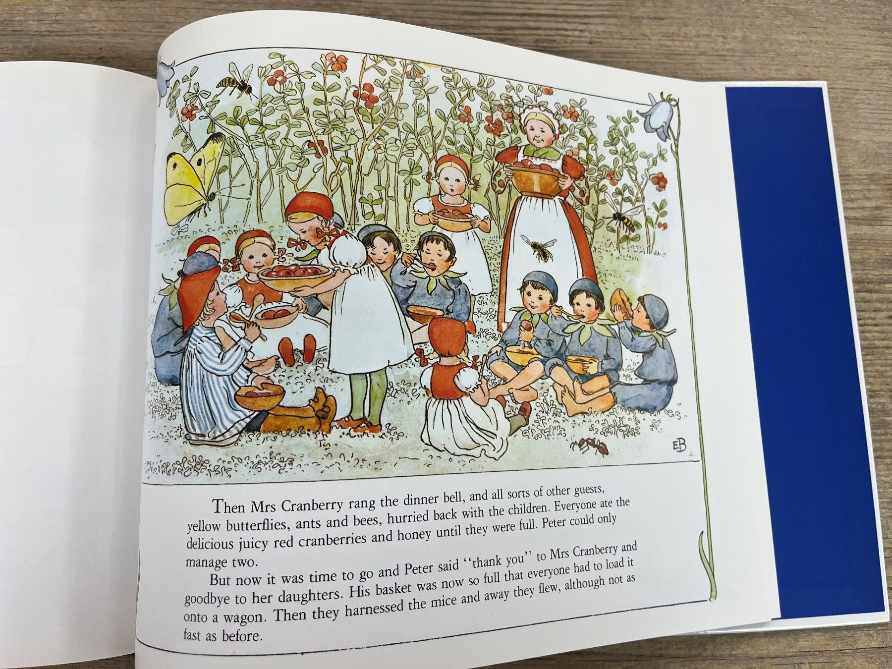 Libri: Elsa Beskov: Peter in Blueberry Land – Usato da Pfäffikon ZH venduto da buresi 8