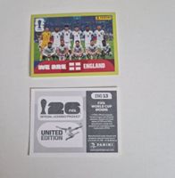 Panini Sticker ENG13