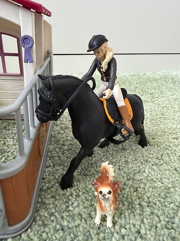 Giocattoli: Schleich Pferdebox  – Usato da Steinach venduto da Susansung 3