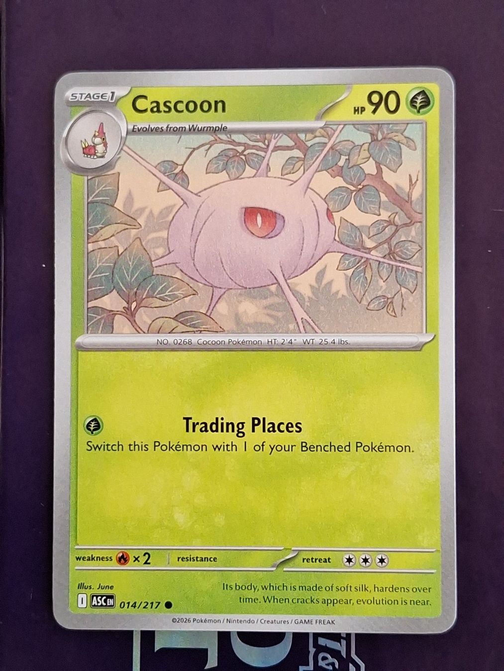 Pokémon Carte collezionabili: Cascoon - Pokemon Ascended Heroes – Usato da Altstätten SG venduto da GGsGameshop