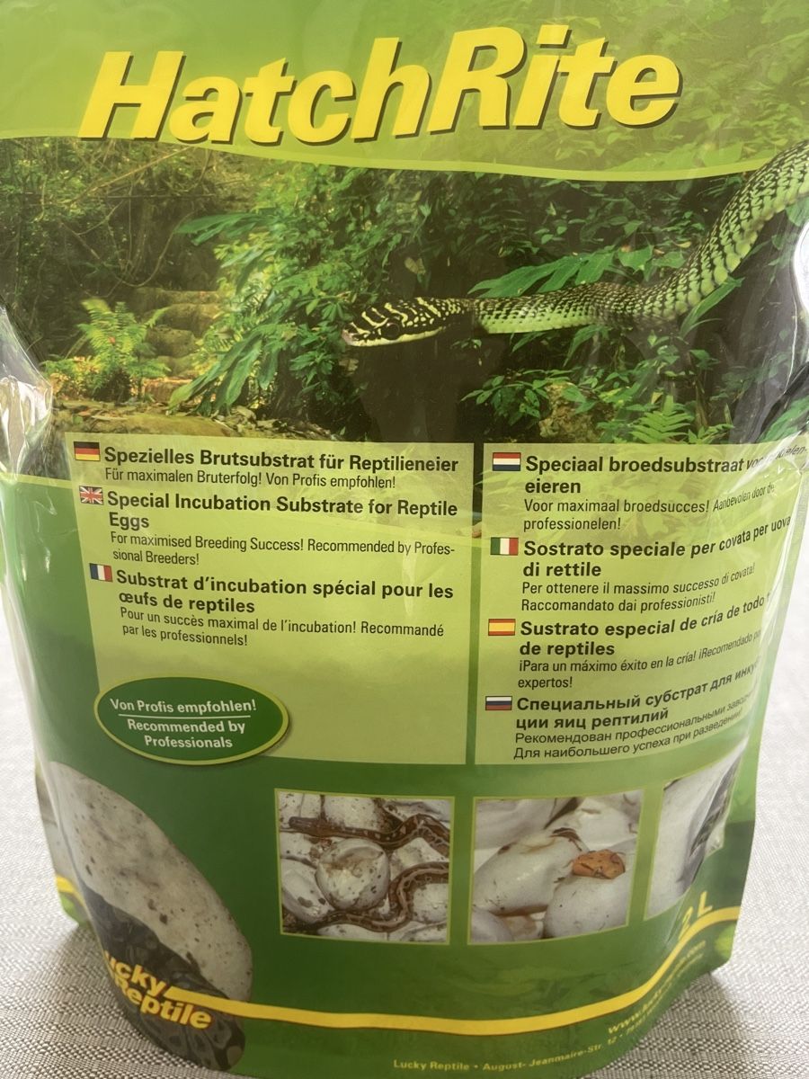 Autres accessoires pour animaux: Egg-O-Bator Brutapparat Reptilieneier – D'occasion à Adligenswil par th.hi 4