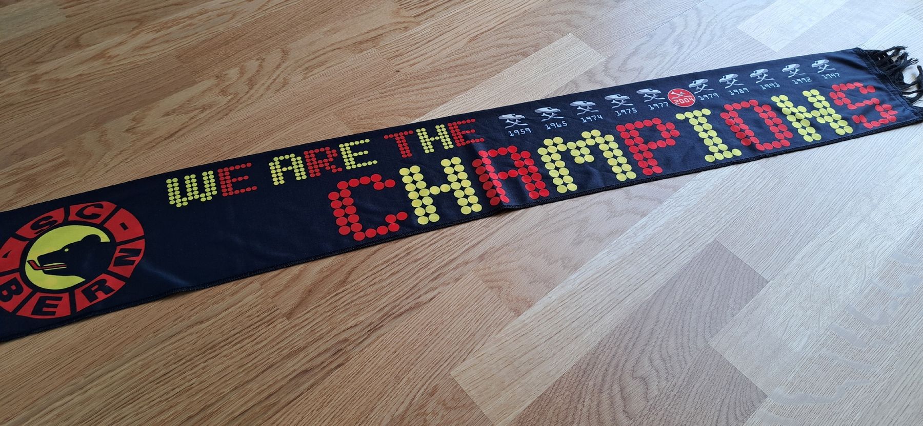 Foulard & Sciarpe: SC Bern Schal "We are the Champions"  – Usato da Murten venduto da ste_s76w