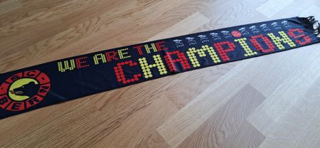 SC Bern Schal "We are the Champions"