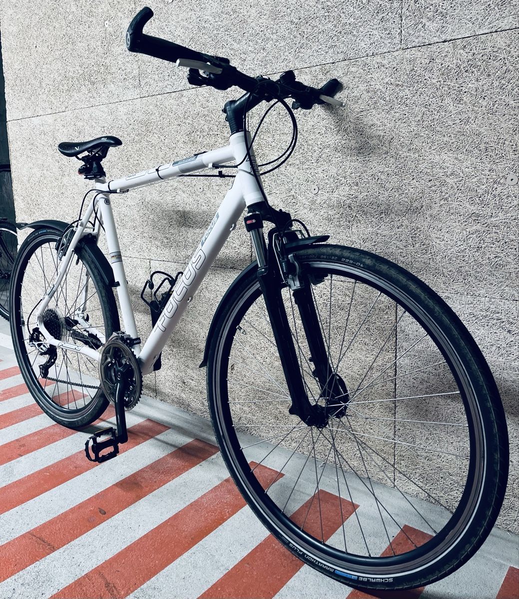 Focus Biciclette: Focus Velo XL – Usato da Zürich venduto da Bidon3011