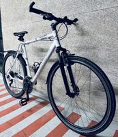 Focus Velo XL