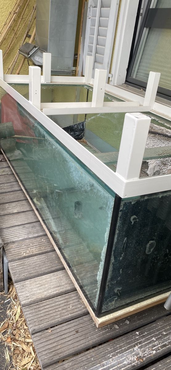 Acquari: Grosses Aquarium – Usato da Wettingen venduto da vpr_9gz6 1