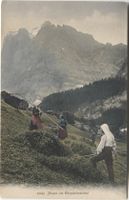 Landwirtschaft/Heuen 1910 Grindelwald BE