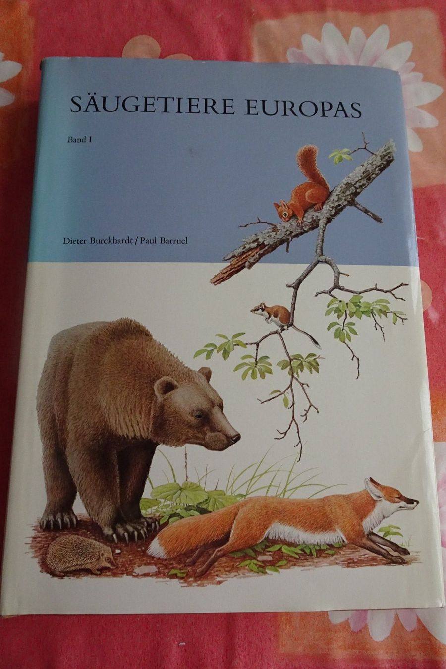 Bücher: Silva Buch Säugetiere mit tollen Tierbildern – Gebraucht aus Strengelbach von schmetterling20