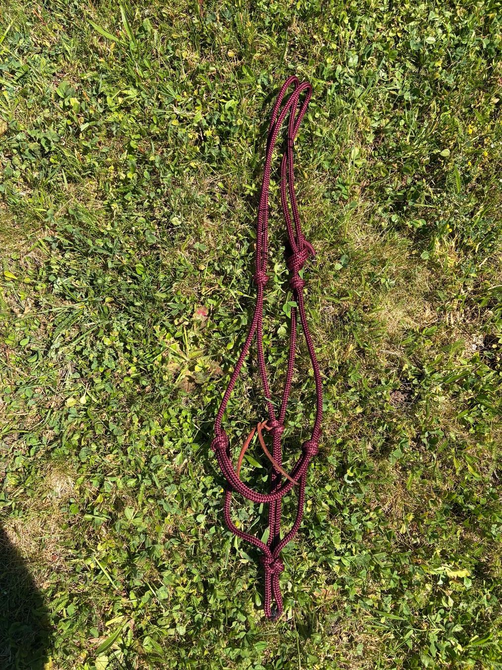 Parelli Briglie & Cavezze: Parelli Warmblut Halfter Farbe Bordeaux – Nuovo (secondo la descrizione) da Altstätten SG venduto da wolf223