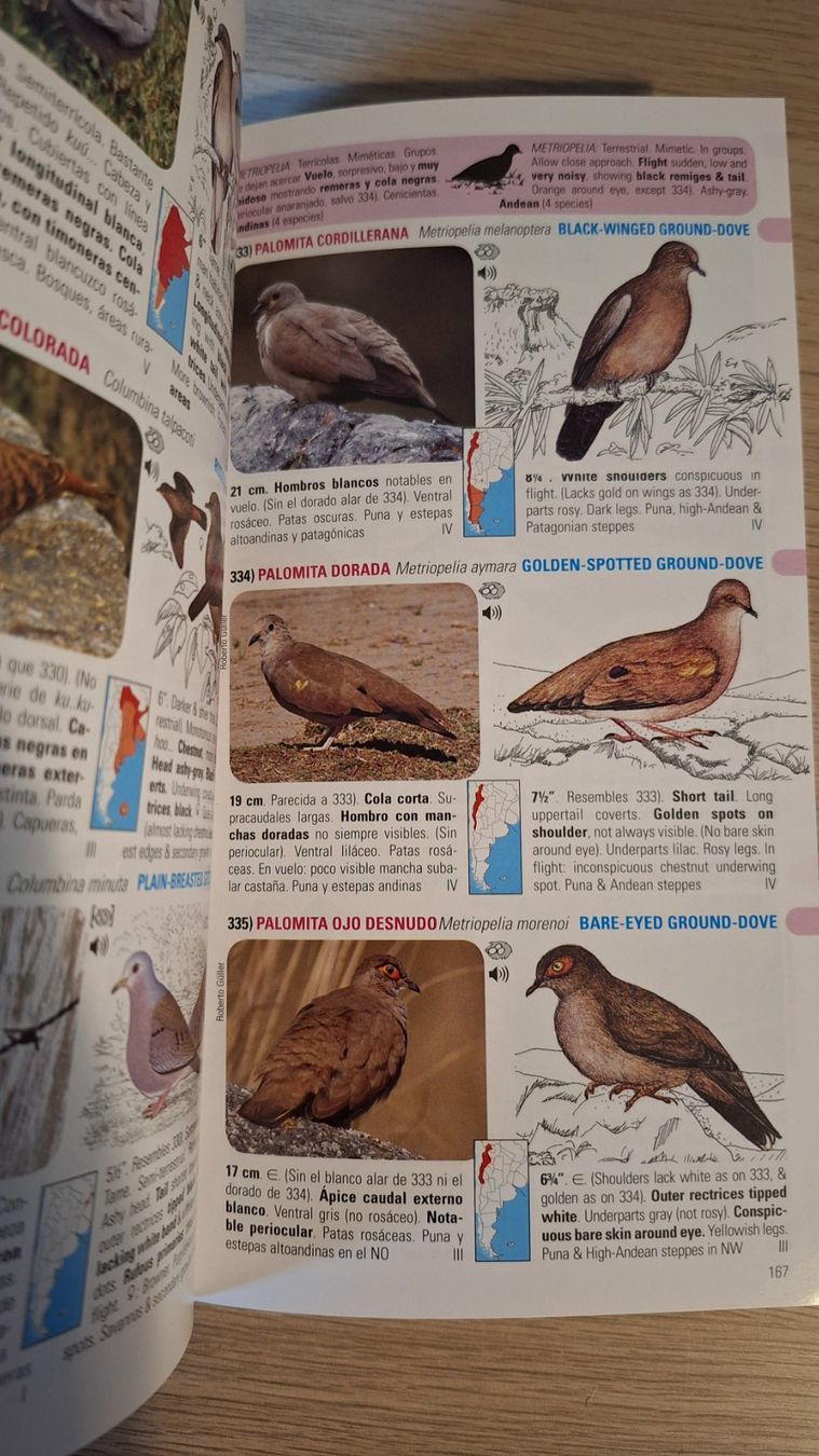 Livres: Vogelbestimmungsbuch Argentinien/Uruguay – D'occasion à Aarau par lalinda2ndhand 1