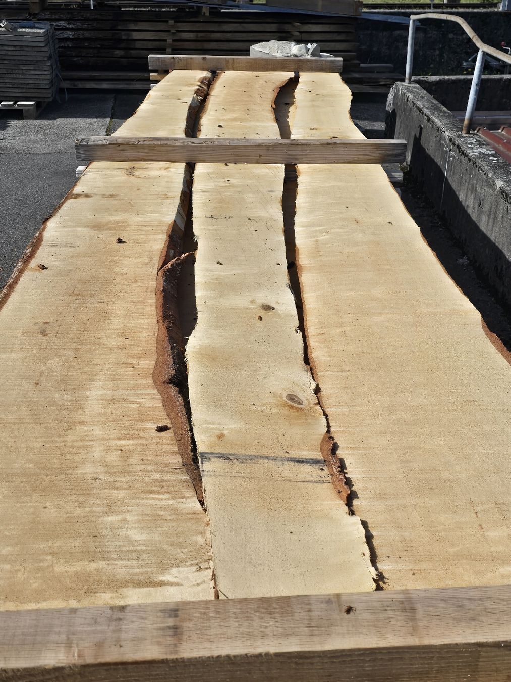 Articoli in legno: Birkenbretter – Nuovo (secondo la descrizione) da Ramsei venduto da Waelchris