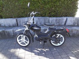 Pony Cross mit Beta Motor 521 Frisch ab Service