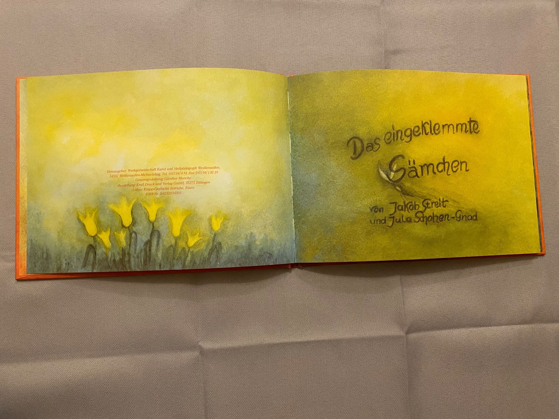 Libri: Jakob Streit Eingeklemmte Sämchen Kinderbuch Anthroposophie – Nuovo (secondo la descrizione) da Basel venduto da him_5r5n 3