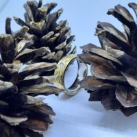 Meister Ring aus 750/18 Karat Weiss- und Gelbgold