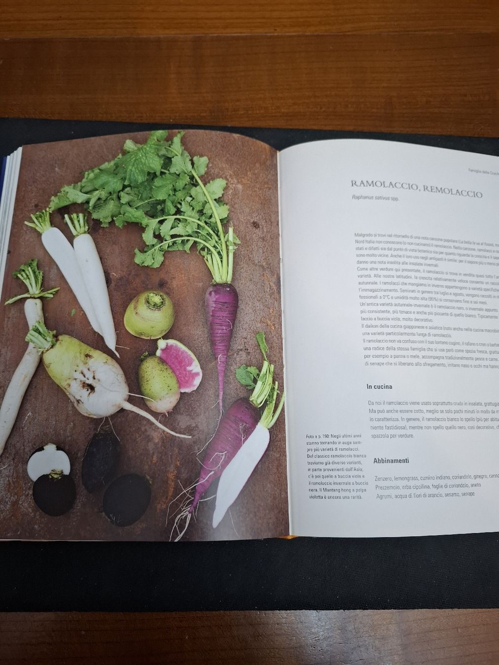 Libri: Libro di cucina di Meret Bissegger – Nuovo (secondo la descrizione) da Viganello venduto da sor_dcq8 3