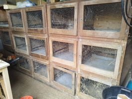 Kaninchen stall 