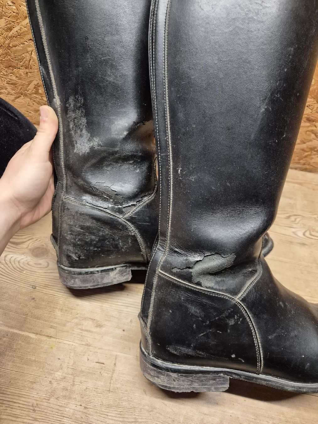 Caschi: Set Reithelm, Reitstiefel, Reithose – Usato da Meggen venduto da Orrinka20 6