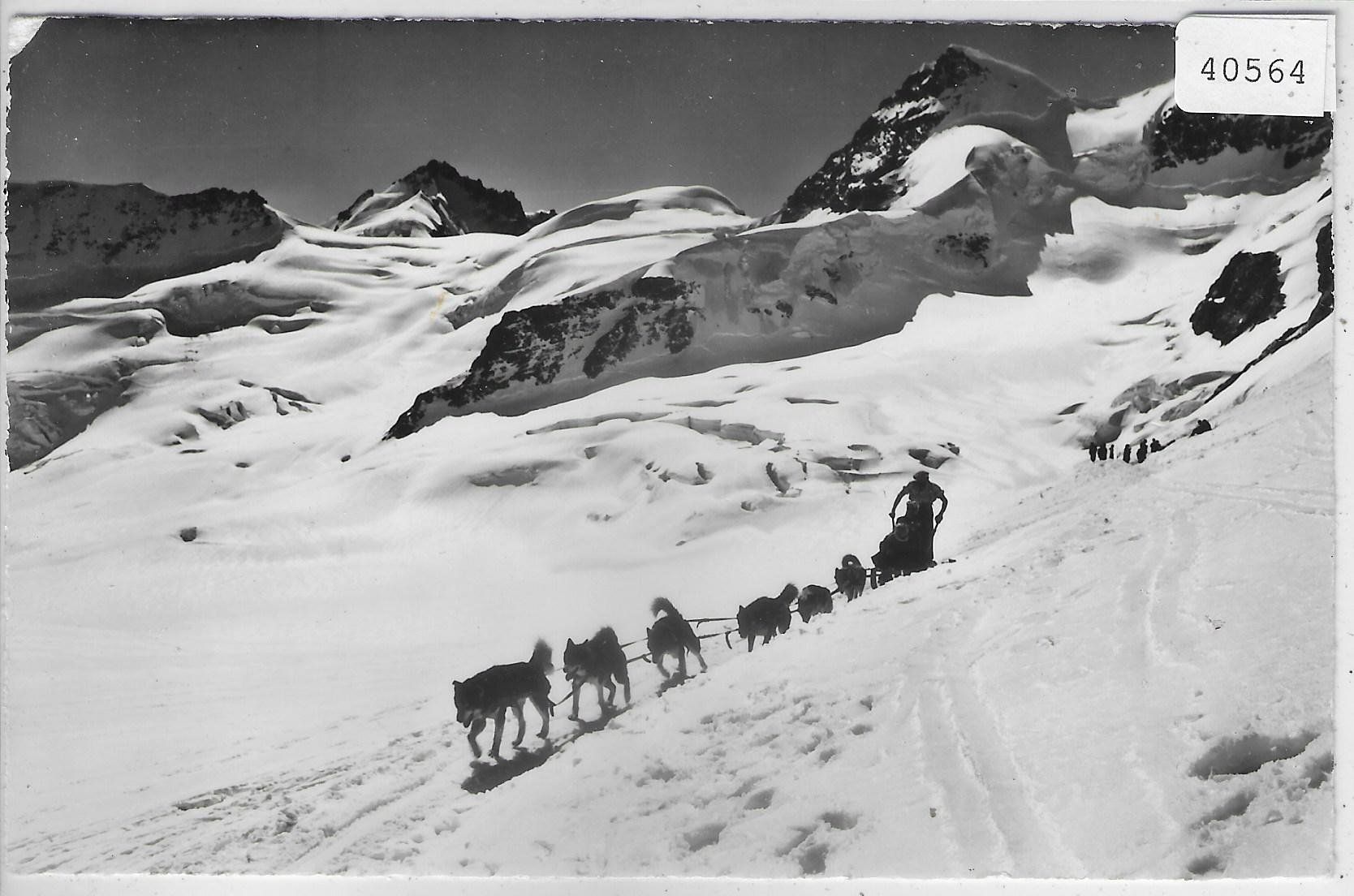 Cartoline postali: Jungfraujoch - Polarhunde – Usato da Ettingen venduto da Kartenplanet