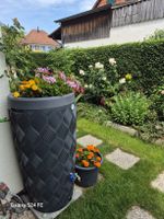 Regentonne 240L mit Zapfhahn und Pflanzschale 