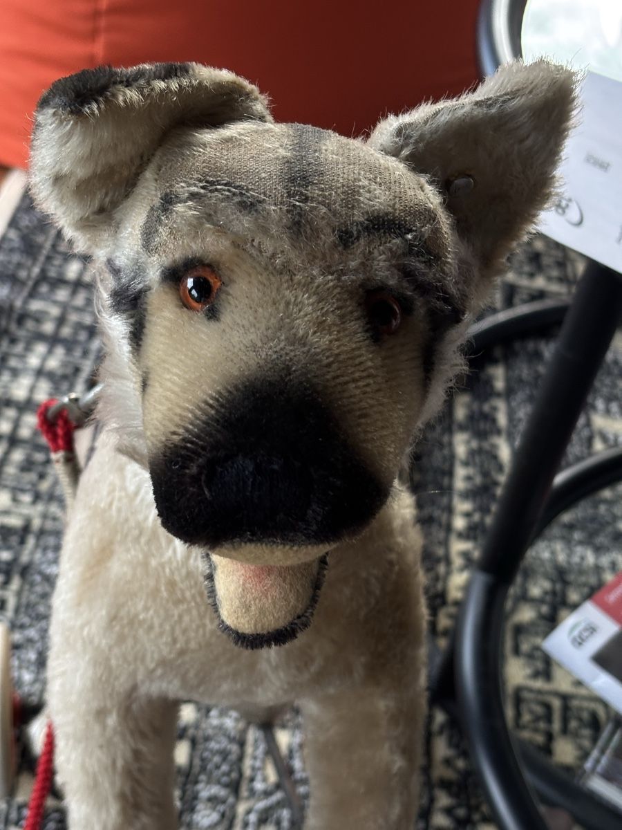 Steiff Jouets: STEIFF ab 1.- fr – D'occasion à Bosco Luganese par KukiKuki 1