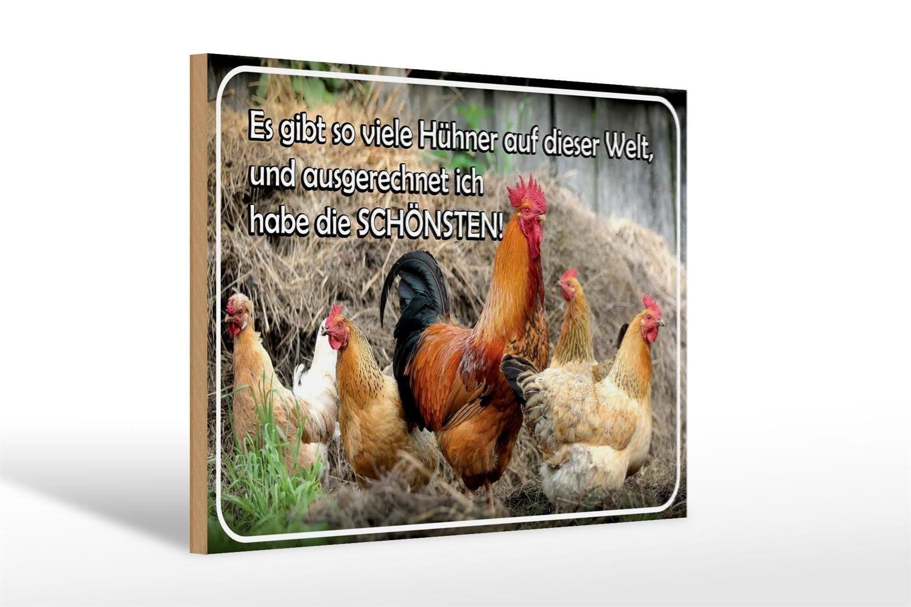 Insegne: Blechschild-HÜHNER-ES GIBT SO VIELE AUF – Nuovo e nell'imballaggio originale da Rupperswil venduto da big-one-sale 1