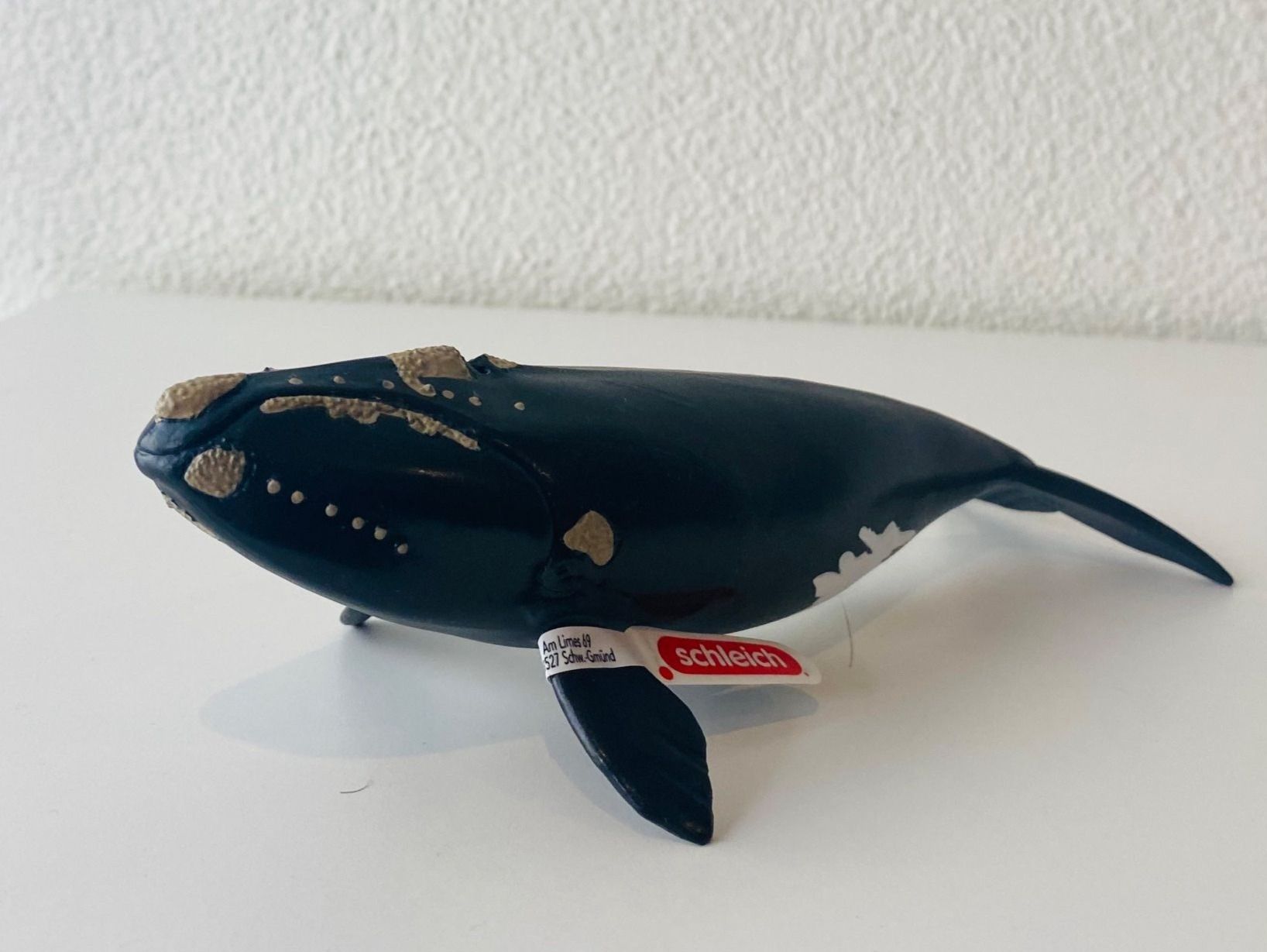 Schleich Spielzeuge: Schleich Wild Life Nordkaper "NEU" – Neu und originalverpackt aus Mellingen von Lapequenita 3