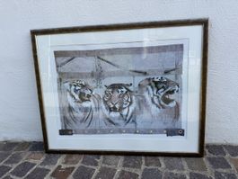 Bild inkl. Rahmen