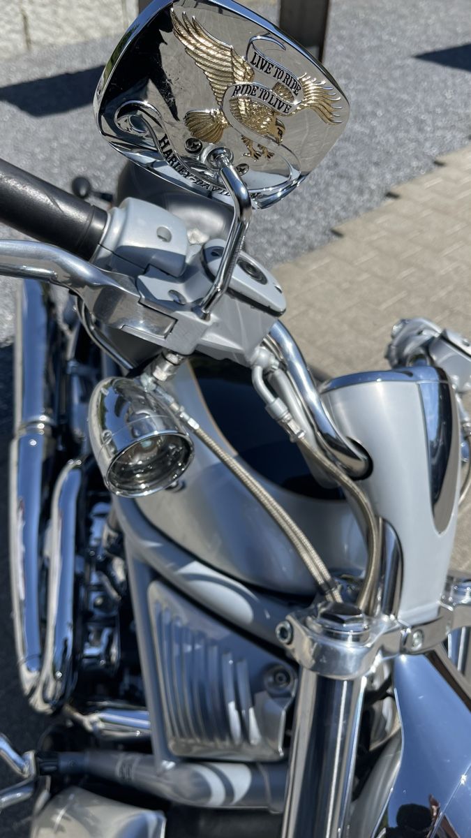 Harley-Davidson Chopper: Harley-Davidson V-Rod Jubiläumsversion – Gebraucht aus Strengelbach von jumbo76 4