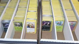 Pokemonsammlung zu je 100 Stück Karten