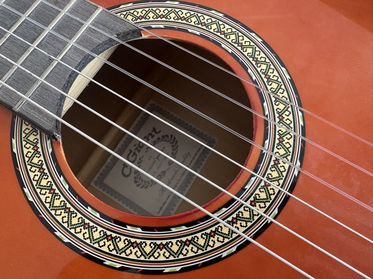 C.Giant Strumenti musicali: Gitarre C. Giant – Usato da Schaffhausen venduto da pinca19 2