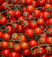 60 SAMEN KLASSISCHE ROT CHERRY TOMATE‪‪‪‪‪