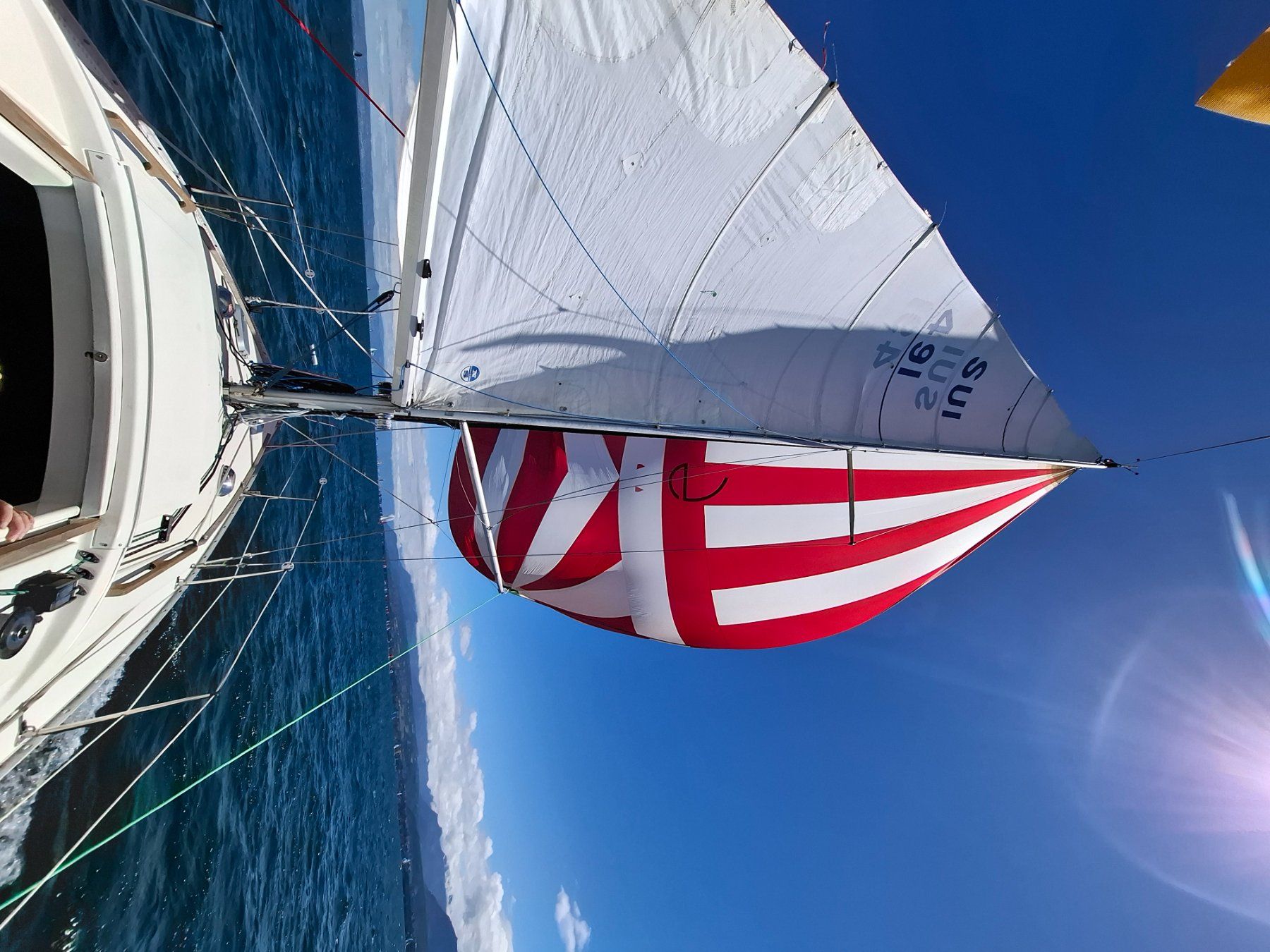 Sonstiges: Voilier Scampi 30 albin marine – Gebraucht aus Bellevue von yoa_6gf6 2