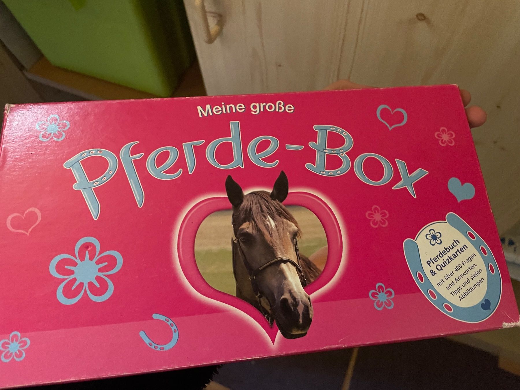 Giocattoli: Pferdebox – Usato da Olten venduto da Tinuu001