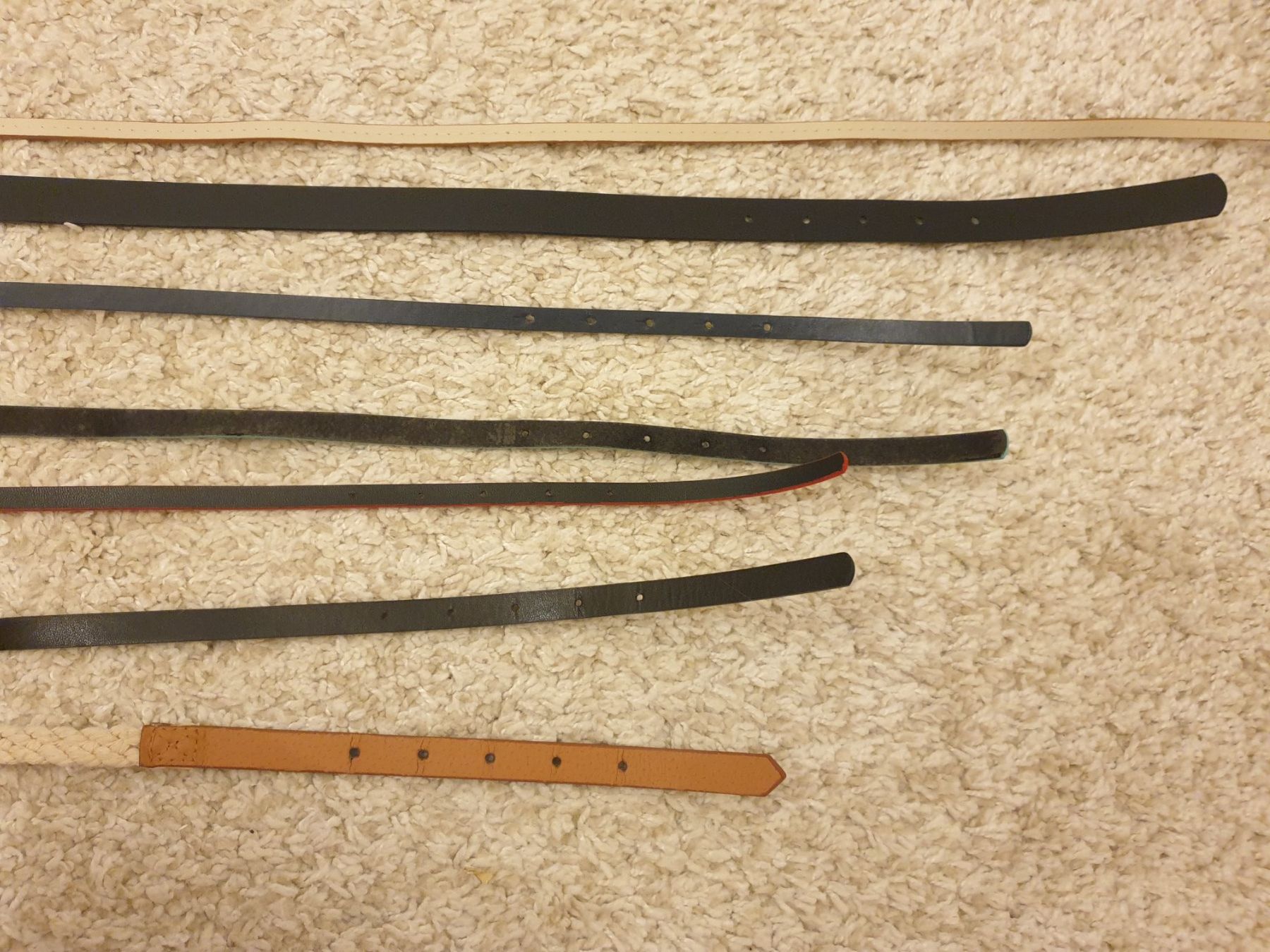 Cinture: Ceinture, lot 6pièces, styles variés – Nuovo e nell'imballaggio originale da Neuchâtel venduto da Verenas12 6