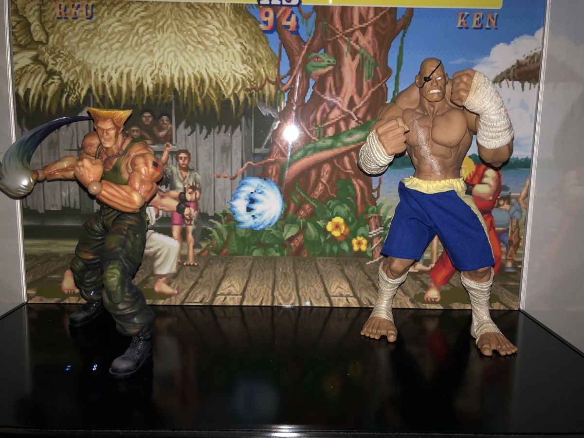Vetrine: Vitrine Showcase Street Fighter – Usato da St-Aubin-Sauges venduto da fafafigo 3