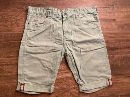 H&M Shorts mintgrün aus Baumwolle Gr. W36