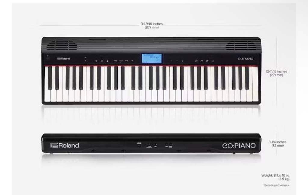 Strumenti musicali: Roland Go:Piano – Usato da Lausanne venduto da mag_krt7 1